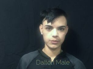 Dalton_Male