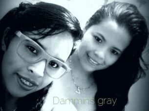 Dammins_gray