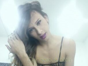 Dangerous_bitch