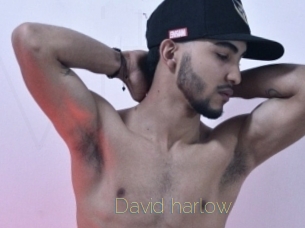 david_harlow Visio Tchats