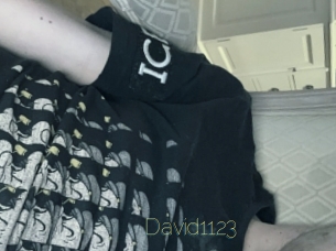 David1123
