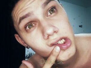 David_sk