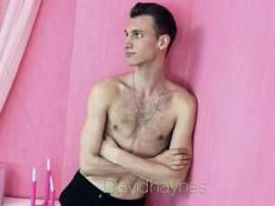 Davidhaynes