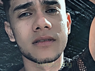 Davidsexibig