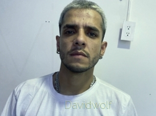 Daviidwolf