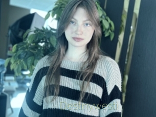 Destinywesti