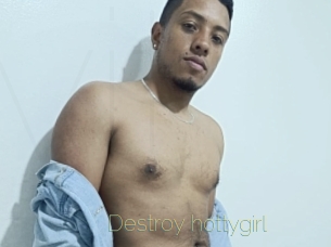 Destroy_hottygirl