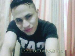 Destructordealmas