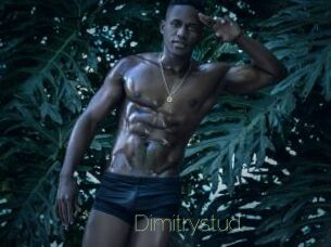 Dimitrystud