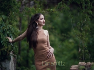 Dinafrittz