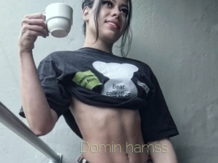 Domin_hamss