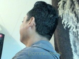 Dominicsteele