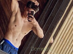 Dominiofit