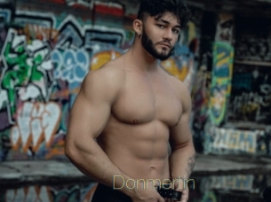 Donmerlin