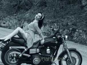 Dynaharley