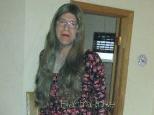 Elantra_Rose