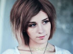ErickaSoft