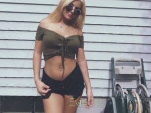 EvieCat