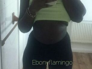 Ebony_flamingo
