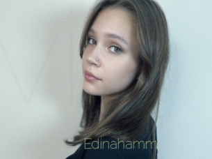 Edinahamm