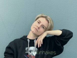 Edlinhakes