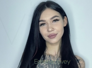 edwinacovey Visio Tchats