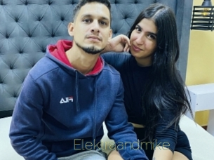 Elektraandmike