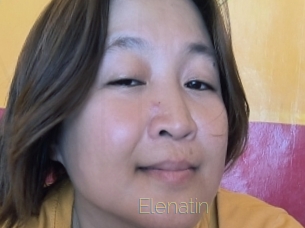 Elenatin