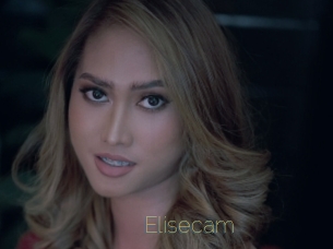 Elisecam