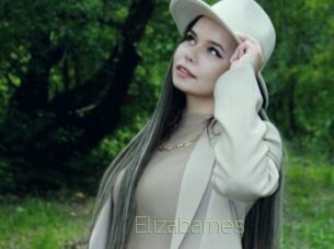 Elizabarnes