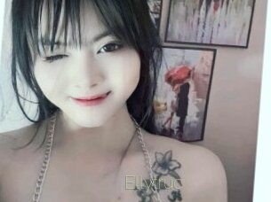 Ellytruc