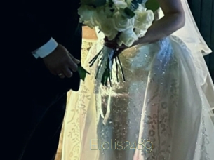 Elolis2489