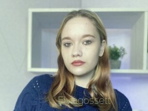 Elviagossett