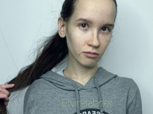 Elvinaabner