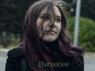 Elvinaatlee