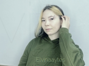 Elvinaaytes