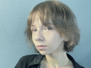 Elwinegallant