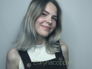Elwynacopple