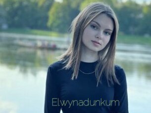 elwynadunkum Visio Tchats