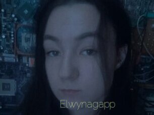 Elwynagapp