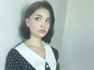 Engelgearing
