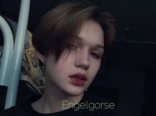 Engelgorse