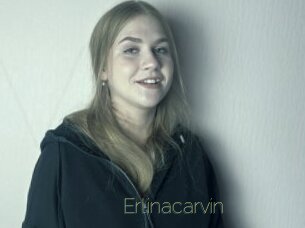 erlinacarvin Visio Tchats