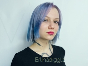 Erlinadiggle