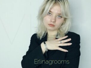 Erlinagrooms