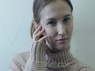 Erlinefudge
