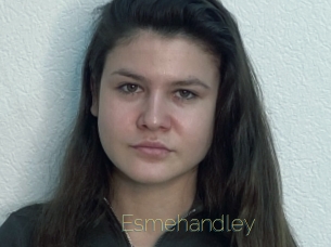 Esmehandley