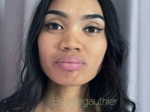 estellegauthier Visio Tchats