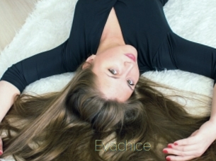 Evachice