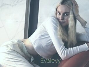 Evalevy